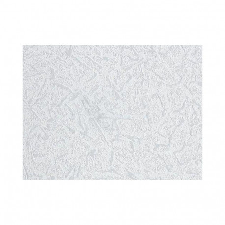 PAINTABLE WALLPAPER 2529-01 B98
