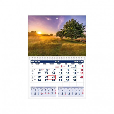 Wall calendar UNO, open size 297x425mm (PICTURE no. 11) 00320/40213