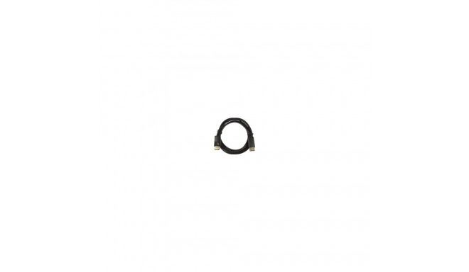 Logilink CV0077 - DisplayPort 1