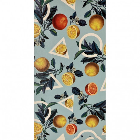 Evelatus Universal Lemon Colorful Film for Screen Cutter