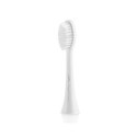 ETA Toothbrush replacement RegularClean 070790200 Heads, For adults, Number of brush heads included 