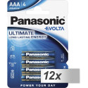 12x4 Panasonic Evolta LR 03 mikroelemendid sisekarbis