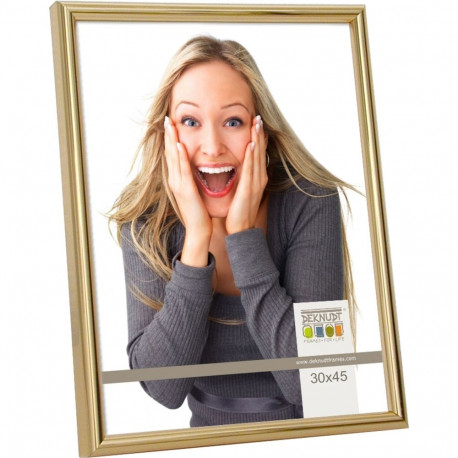 Deknudt S011A4 30x45 vaigust kuld raam