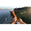 GoPro Headstrap 2.0 (2025) GoPro Headstrap 2.0 (2025)