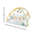Baby Activity Mat - Fisher-Price Simply Senses Newborn Gym with 6 Sensory Toys