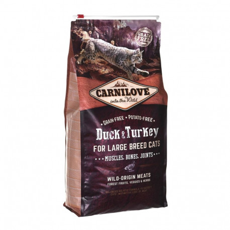 Cat Food - CARNILOVE Duck&Turkey Large Breed Dry Cat Food 6 kg 37% Protein