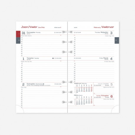 Kalendrisisu MIDI Timex Nädal H 2914303000