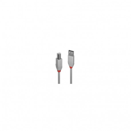 LINDY CABLE USB2 A-B 2M/ANTHRA GREY36683