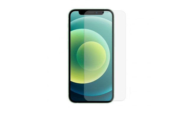 Evelatus Apple iPhone 12 Pro Max 6.7 Matte 2.5D Silk Cover Japan Glue Glass Anti-Static