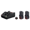 Bosch 2x 3.0Ah, GAL 12V-40 laetav aku