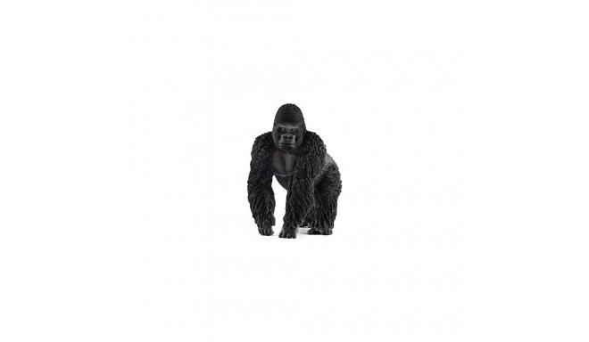 Wild Life isane gorilla