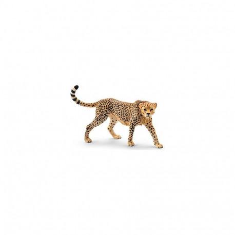 Wild Life Gepardin