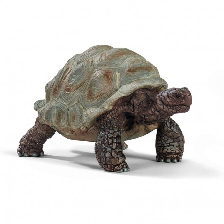 Wild Life Riesenschildkröte