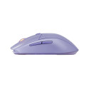 Steelseries 62525 mouse Gaming Right-hand RF Wireless + Bluetooth Optical 18000 DPI