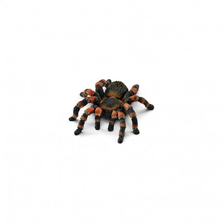 Wild Life Vogelspinne