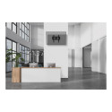 NEOMOUNTS LEVEL-750 seinakinnitus XL 125kg kallutatav kallutuspiirik ühendatav VESA 400x400 NEOMOUNTS LEVEL-750 seinakinnitus XL 125kg kallutatav kallutuspiirik ühendatav VESA 400x400