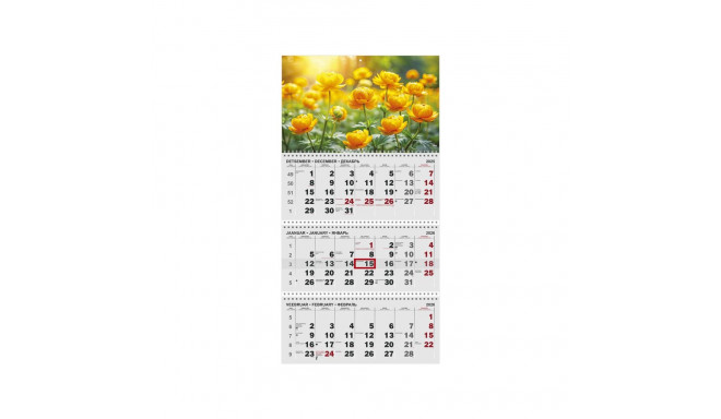 Wall calendar TRIO MAXI no. 3 2911220003