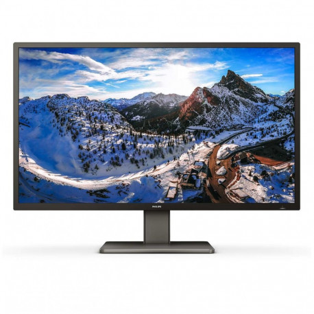 Philips P Line 439P1/00 43 ", VA, 4K UHD, 3840 x 2160, 16:9, 4 ms, 400 cd/m, Headphone output, 60 Hz