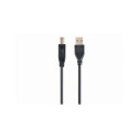 Gembird Cable USB2 AM-BM 1 m, Black, USB B, USB A Gembird Cable USB2 AM-BM 1 m, Black, USB B, USB A