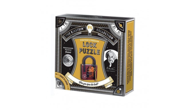 EINSTEIN COLLECTION LOCK PUZZLE