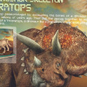 4M craft kit Dig a Triceratops