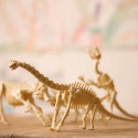 4M KidzLabs craft kit "Brachiosaurus skeleton"