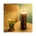 Paladone Minecraft Torch Light