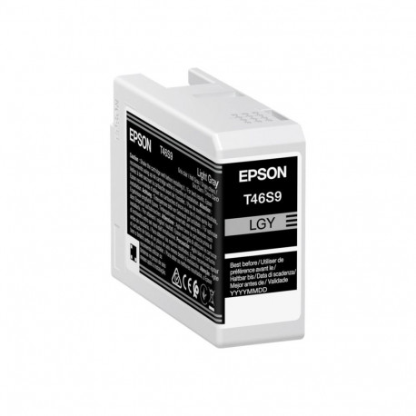 Epson UltraChrome Pro 10 ink | T46S9 | Ink cartrige | Light Gray