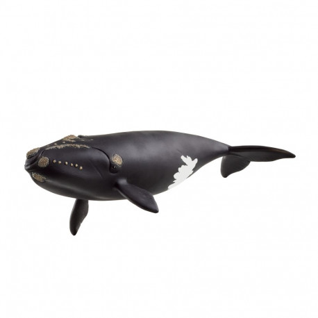 SCHLEICH WILD LIFE North Atlantic Right Whale