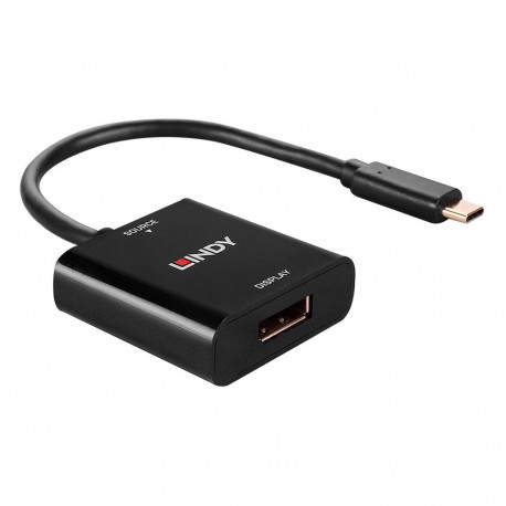 USB Konverter, USB-C Stecker > DisplayPort Buchse (schwarz, 21cm, 4K 144Hz)