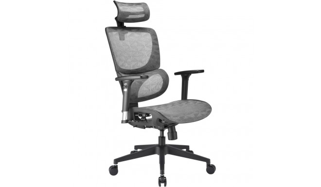 Sharkoon office chair OfficePal C30M, gaming chair (grey)