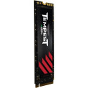 Mushkin Tempest 256 GB, SSD (black, PCIe 3.0 x4, NVMe 1.4, M.2 2280)