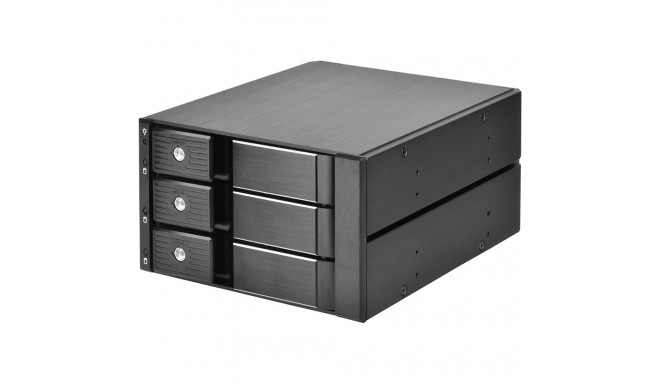 SilverStone SST-FS303-12G, removable frame (black)