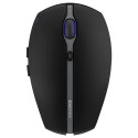 CHERRY GENTIX BT, mouse (black)