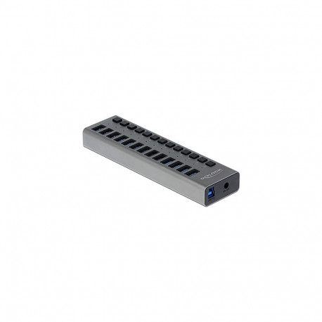 Delock External SS USB Hub 13Ports + Switch - 63738