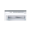 Bosch freezer GIV21AFE0 series 6 E