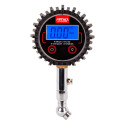 Digitaalne rõhumõõtur pööratav 17 bar