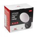 LED wall lamp neutral white MCE367