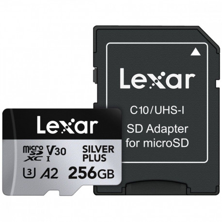Mälukaart microSD 256GB C10 A2 U3 V30 205/150MB/s Silver Plus