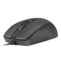 Mouse Hoopoe 2 1600 DPI black optical