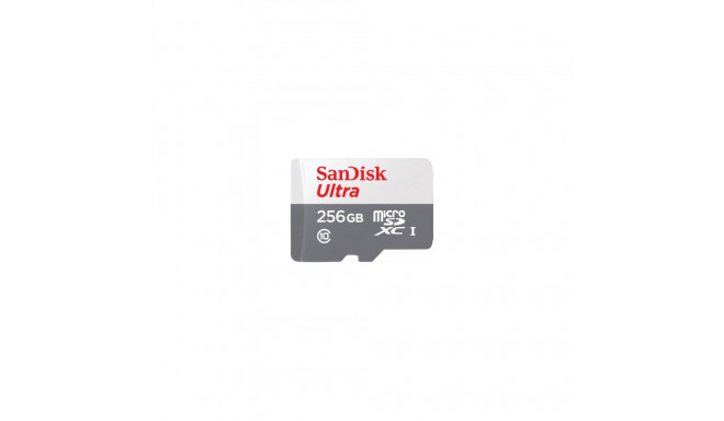 Sandisk Memory MicroSDXC 256GB