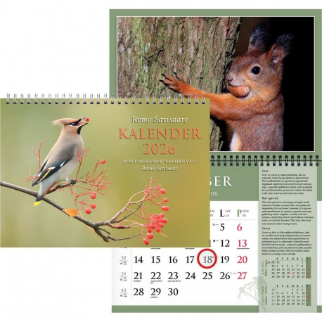 Seinakalender Remo Savisaare autorikalender A4 spiraalköide 2026a.