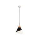 PLATINET PENDANT LAMP PPL02B