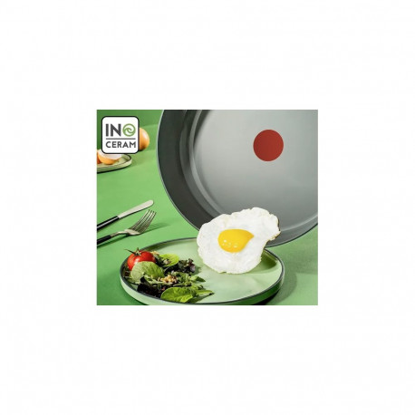TEFAL pann C4260443 praepann läbimõõt 24 cm sobib induktsioonpliidile fikseeritud käepide hall