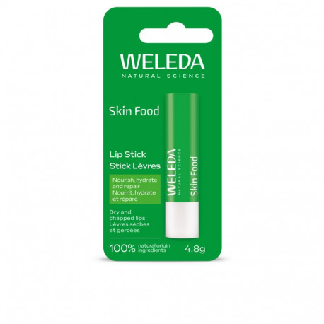 IDC INSTITUTE SKIN FOOD bálsamo labial stick 4,8 gr