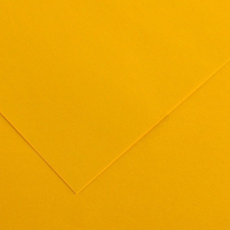 Kartong Vivaldi 50x65/240g 05 võilillekollane