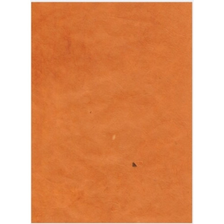 Nepaali paber A4 45 Curry