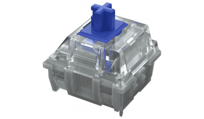 MOUNTAIN Switch Pack 90 tk MOUNTAIN taktiilne 55