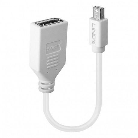Adapter Cable - LINDY Mini-DP to DP Adapter Cable, M/F, 20 cm, White