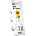 Click & Grow Smart Refill Mini päevalill 3tk